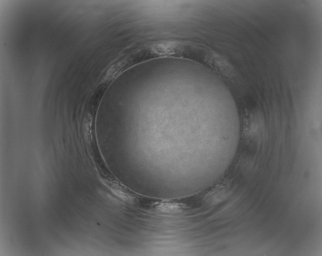 X0000060220332200510281114