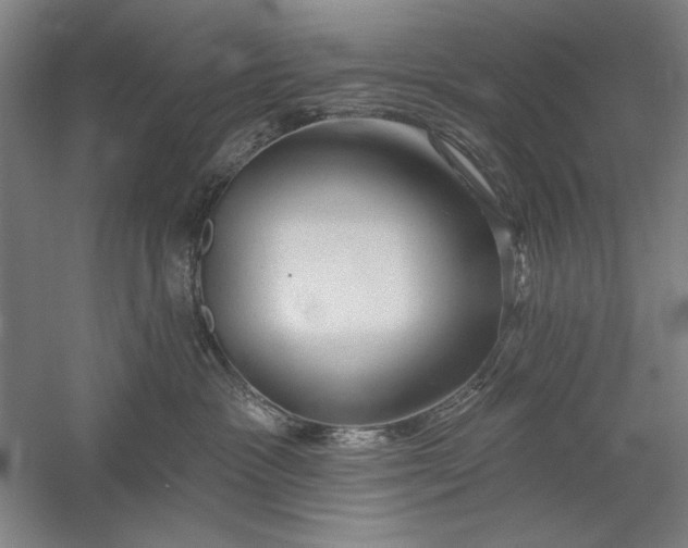 X0000060220333200510281114