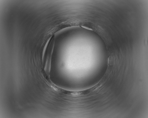 X0000060220335200510281114