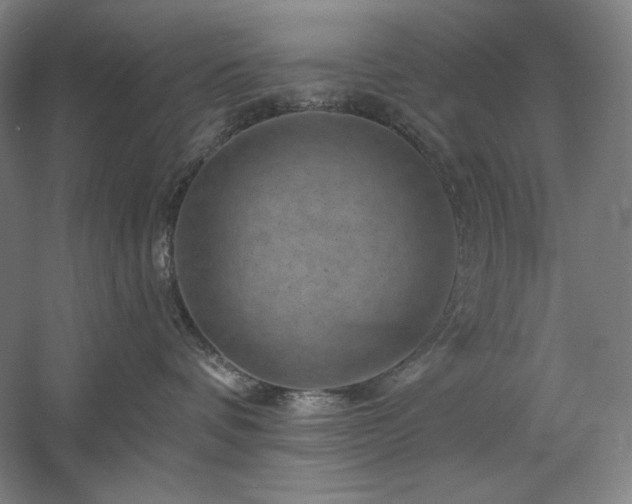 X0000060220336200510281114
