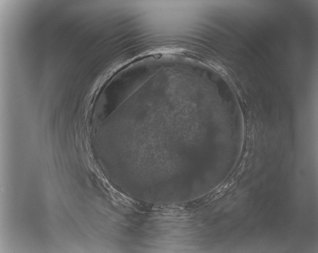 X0000060220337200510281113
