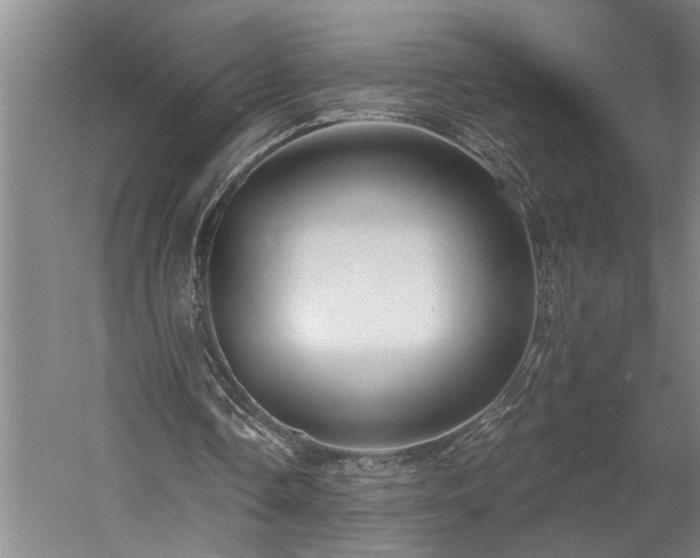 X0000060220338200510281113