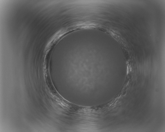 X0000060220339200510281113
