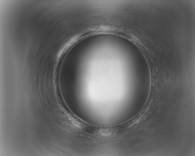 X0000060220341200510281113