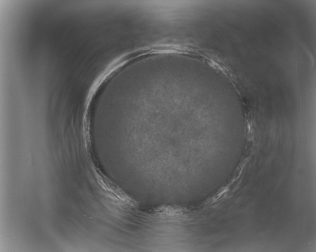 X0000060220343200510281113