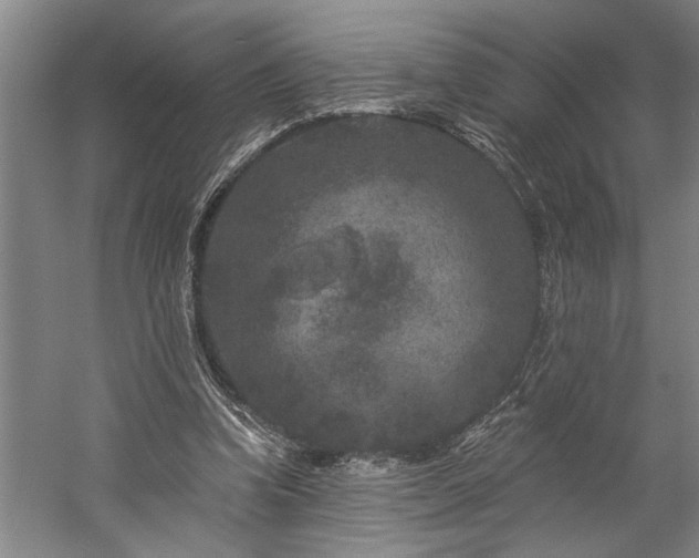 X0000060220346200510281114