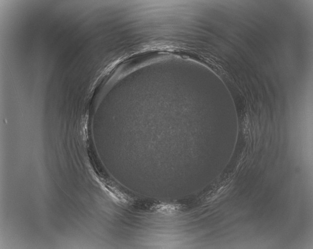 X0000060220352200510281114