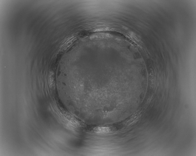 X0000060220361200510281114