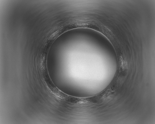 X0000060220364200510281114