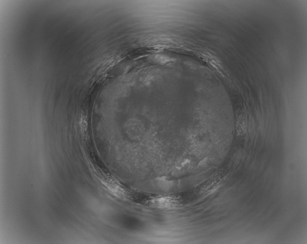 X0000060220365200510281114