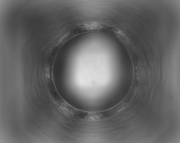 X0000060220368200510281114