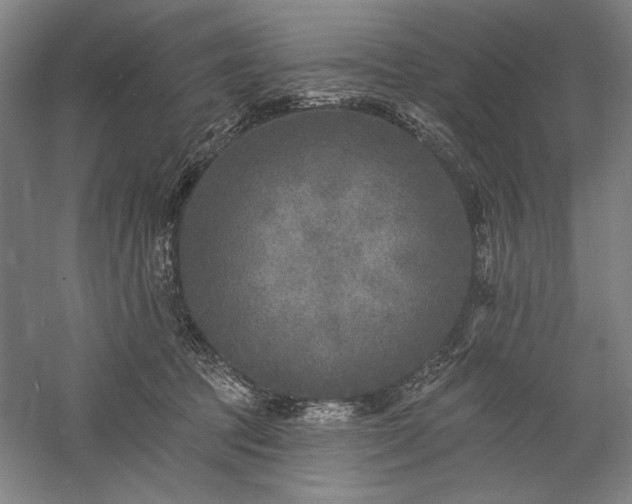 X0000060220369200510281114