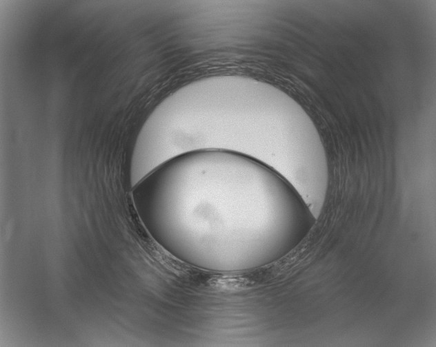 X0000060220372200510281114