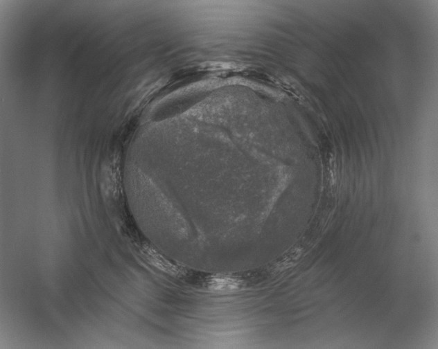 X0000060220376200510281114