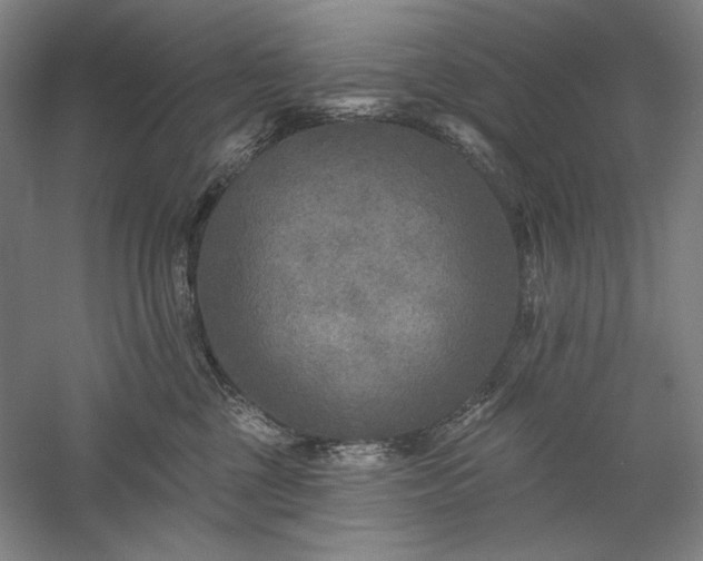 X0000060220377200510281114