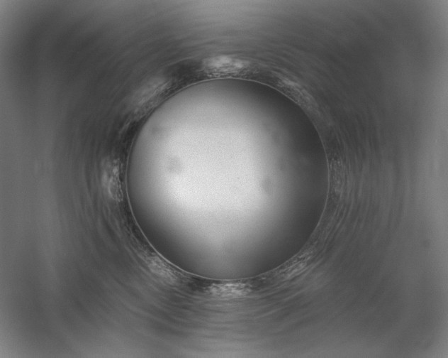 X0000060220378200510281114