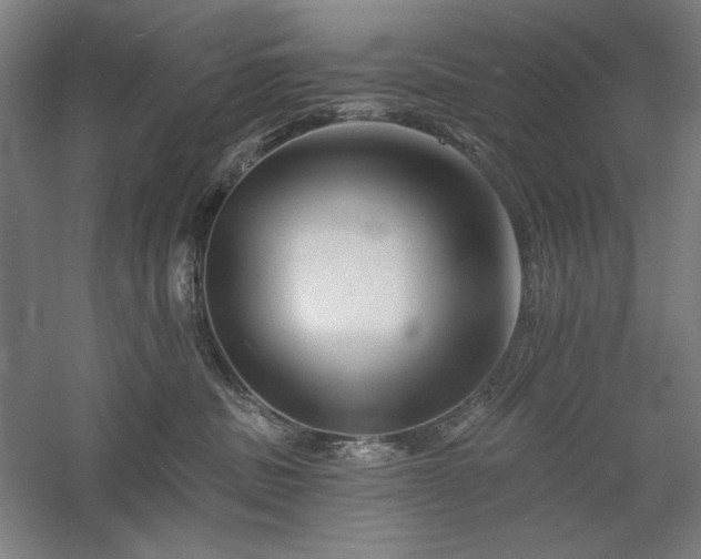 X0000060220379200510281114