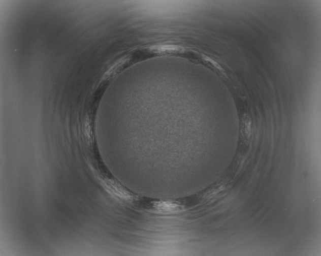 X0000060220380200510281114