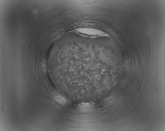 X0000060220381200510281114