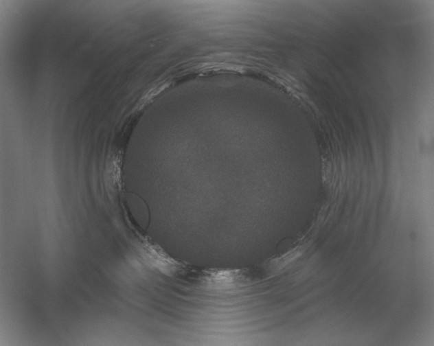 X0000060220382200510281114