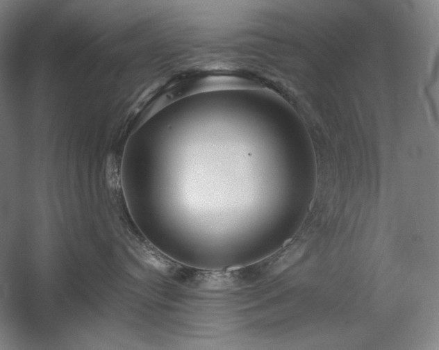 X0000060220384200510281114