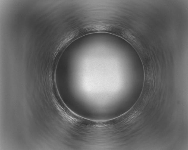 X0000060220394200510281113