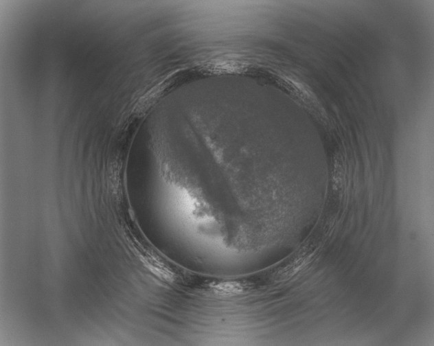 X0000060220409200510281113