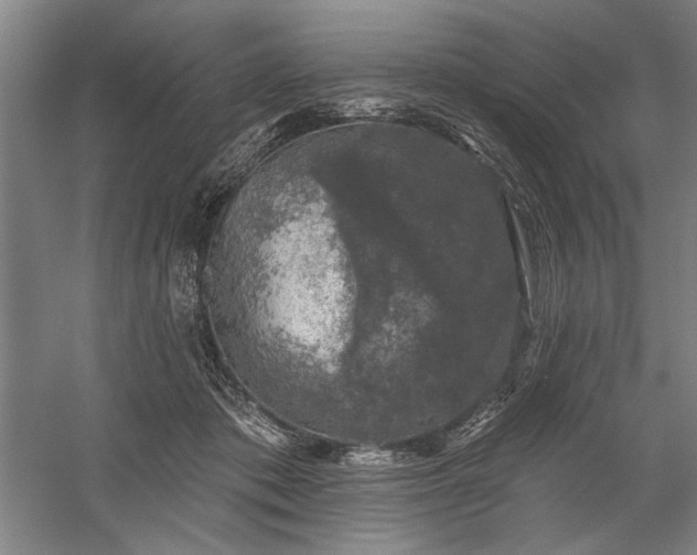 X0000060220413200510281113