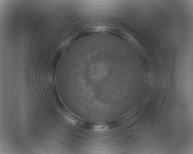 X0000060220415200510281113