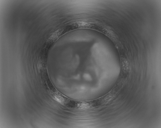 X0000060220419200510281113