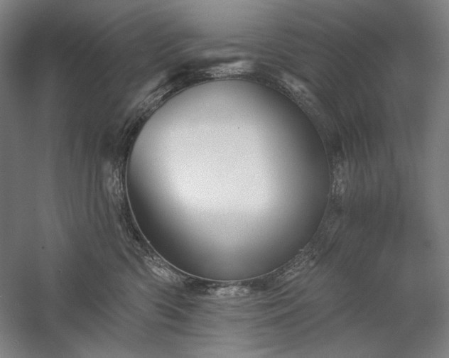 X0000060220426200510281113