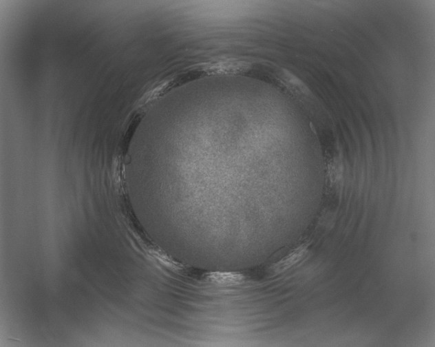 X0000060220429200510281113