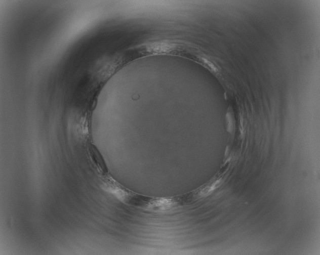 X0000060220431200510281113