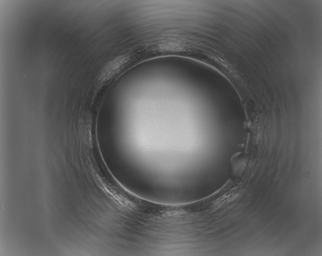 X0000060220446200510281112