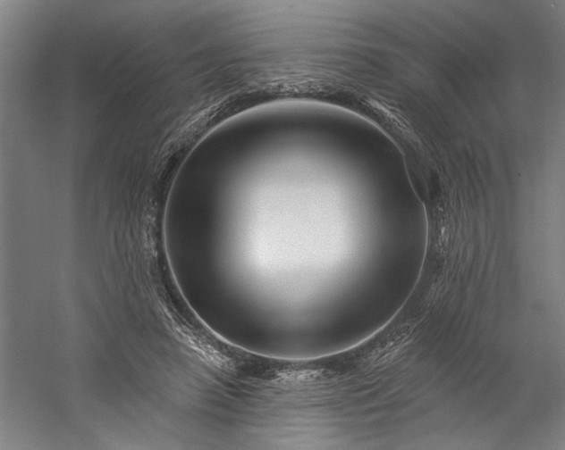 X0000060220450200510281112