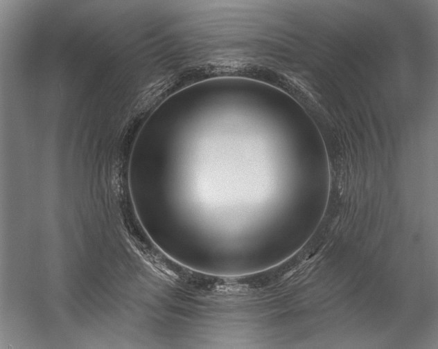 X0000060220455200510281112