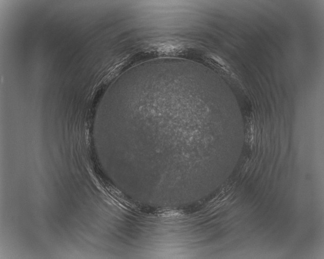 X0000060220456200510281112