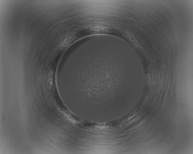 X0000060220458200510281112