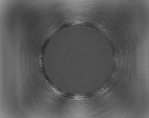 X0000060220462200510281112
