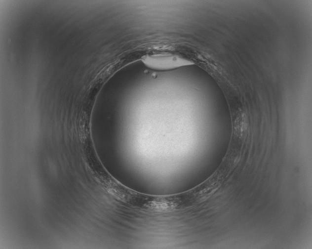 X0000060220464200510281112