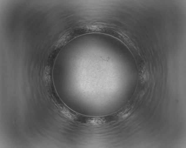 X0000060220466200510281112