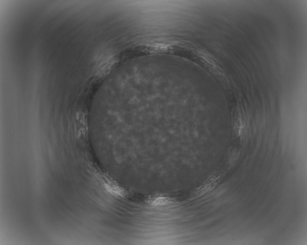 X0000060220467200510281112