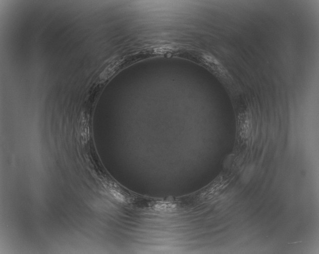 X0000060220471200510281112