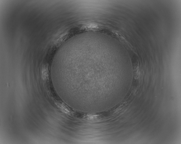 X0000060220472200510281112