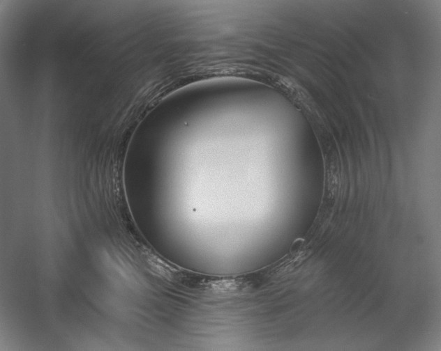 X0000060220473200510281112