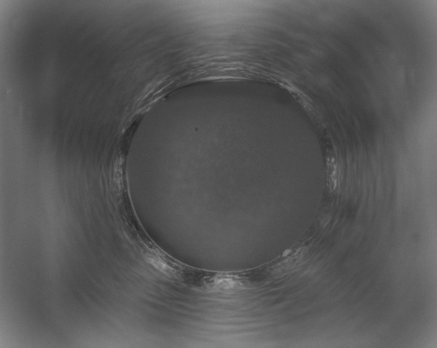 X0000060220475200510281112
