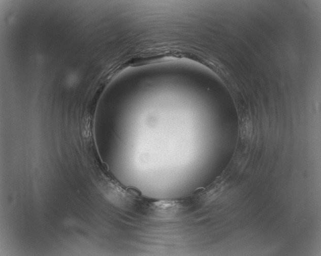 X0000060220477200510281112