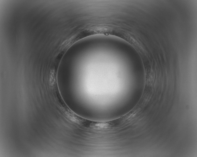 X0000060220478200510281112