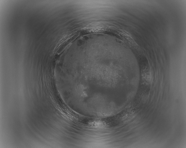 X0000060220503200510281111