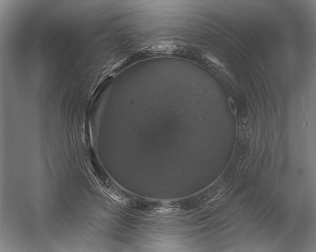 X0000060220504200510281111